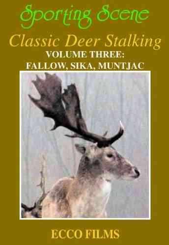Sporting Scene - Classic Deer Stalking