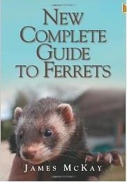 New Complete Guide to Ferrets